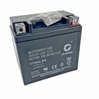 12V 5Ah Battery for 110cc 125cc Chinese ATVs Go Karts Dirt Bikes Taotao ATA110