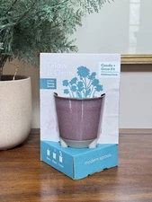 Modern Sprout Daisy Glow and Grow Ceramic Wildflower Scented Candle & Grow Kit