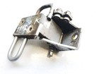 Lower door hinge