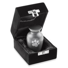 Pet Urn for Dog  Cat Ashes - Cremation Memorial Extra Small Gray Urn