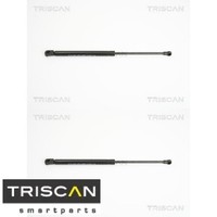 2X Gasfeder FüR Motorhaube Triscan 871011116 2 GasdäMpfer Motorraum FüR BMW