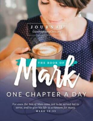 The Book of Mark Journal: One Chapter a Day - Paperback - VERY GOOD