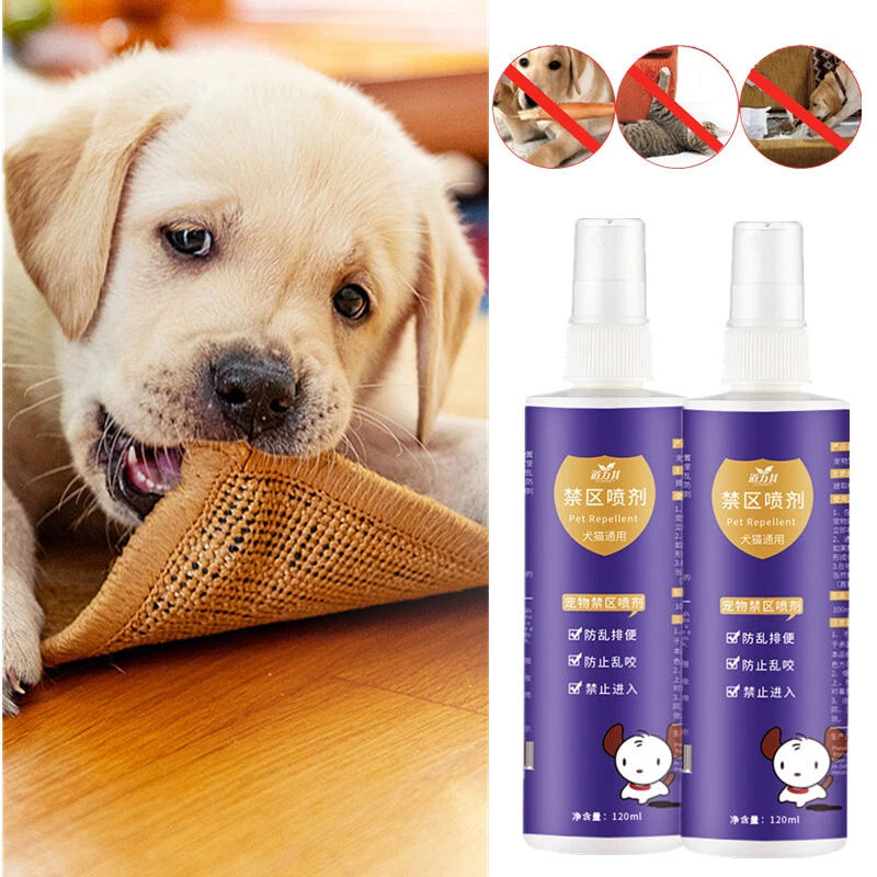 No chew spray for cats top