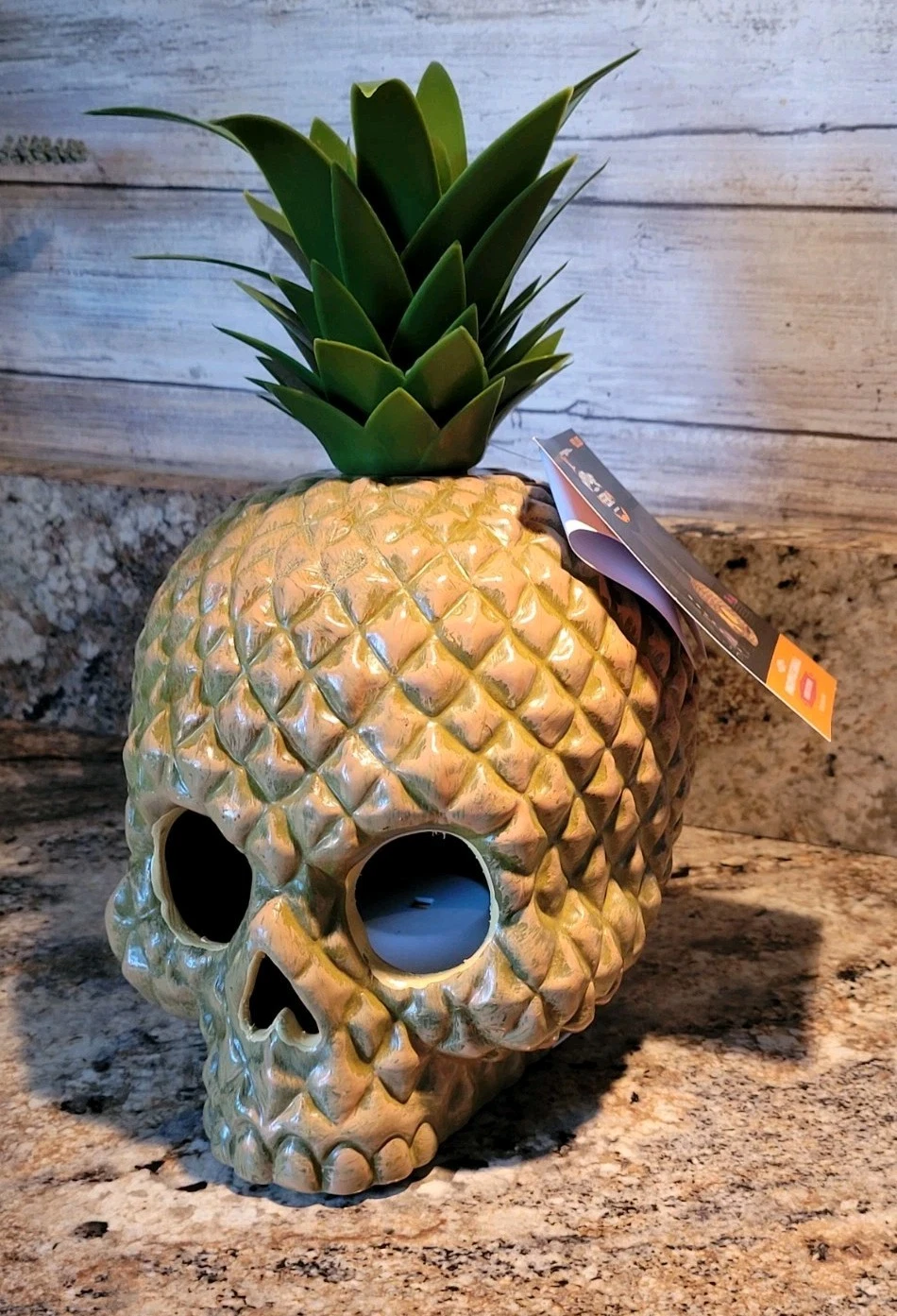Hyde & Eek Pineapple Skull Home Decor