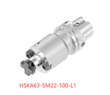 1PCS    ORIGINAL    INSERTS   HSKA63-SM22-100-L1