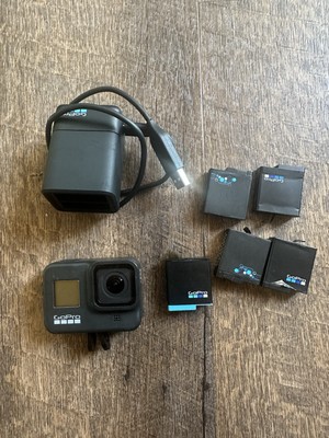 Go Pro Hero 8 Batteries and Charger Used , Works Mint!