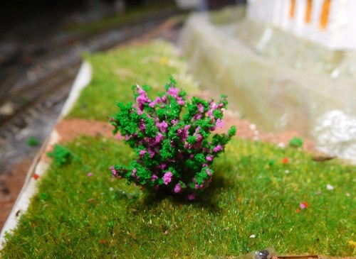 50 dunkelgrüne Büsche, Sträucher, violett, lila blühend, 28 mm hoch - Picture 5 of 12