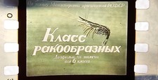 Soviet Diafilm Filmstrip in zoology for 6th grade "Class of crustaceans" USSR