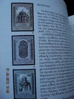 Bild 11 von 12