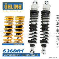 Amortisseur Triumph TR