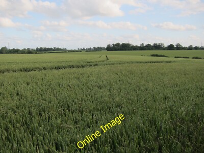 Photo 6x4 Wheat field Toseland Dropping down to the Gallow Brook. c2012