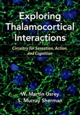 Exploring Thalamocortical Interactions : Circuitry for Sensation, Action, and...