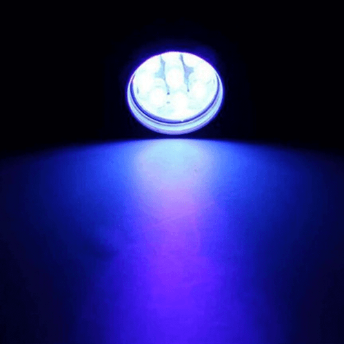 Linterna UV 9LED Ultra Violeta Mini Táctica Luz Negra Antorcha 395NM - Imagen 6 de 11