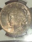 1925 $1 Peace Dollar NGC MS64 Toned