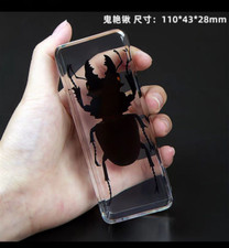 Odontolabis Siva 11x4.3x3cm Displayed Real Block Education Insect Specimen