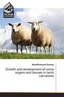 Abdelhameed Gomaa | Growth And Development Of Some Organs And Tissues In Lamb...