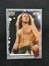 2022 Upper Deck AEW Jungle Boy #20