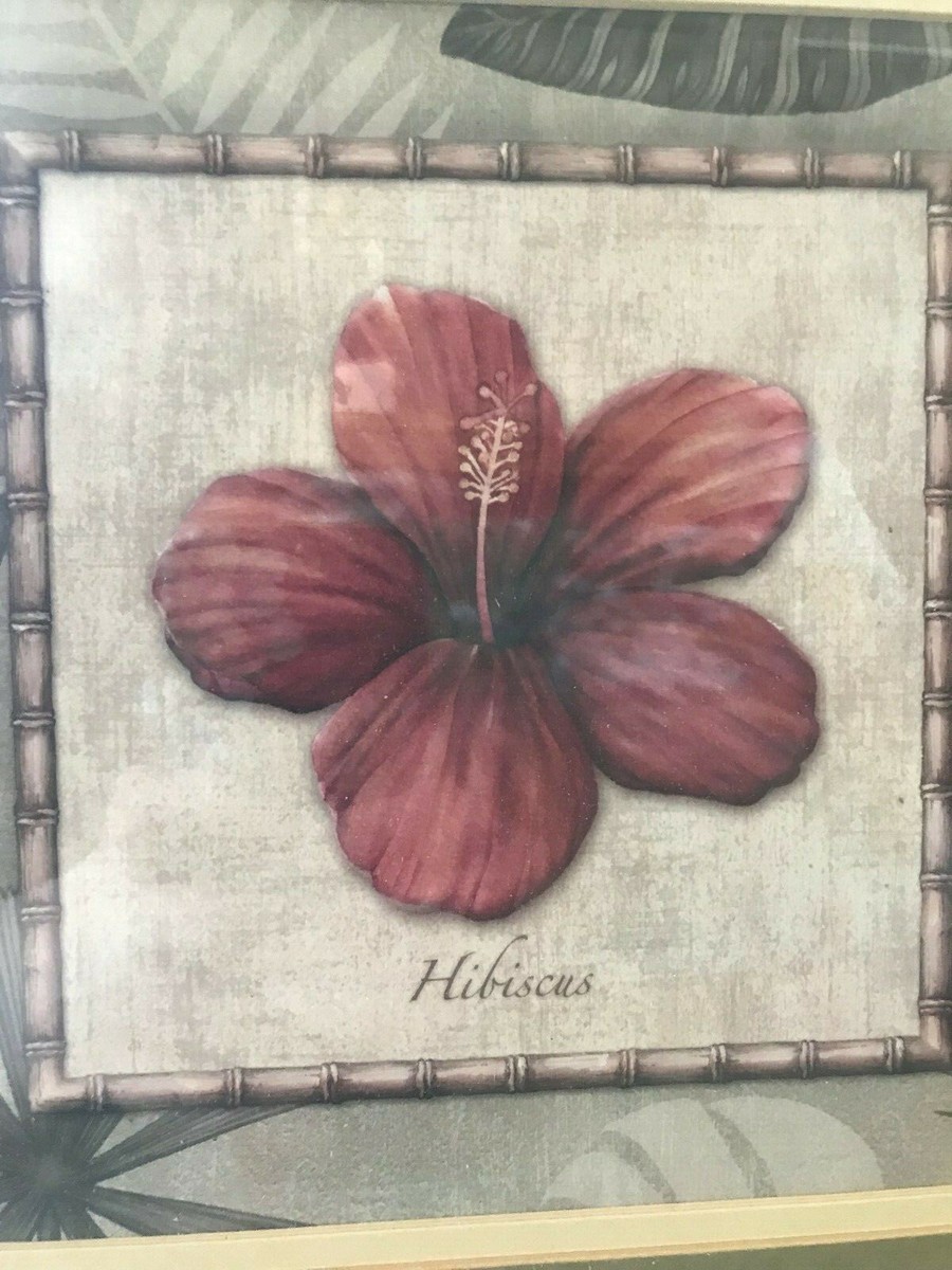 Hibiscus Print | eBay