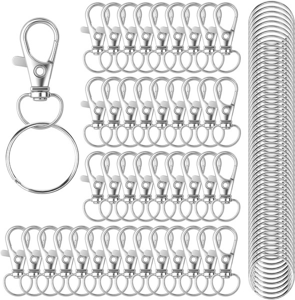 SchlüSselringe Edelstahl 100 StüCk Karabiner SchlüSselanhäNger Basteln Ringe-image