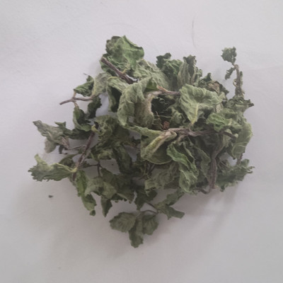 FULLY DRIED CHOCOLATE MINT HERB