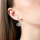 Bild 9 von 12