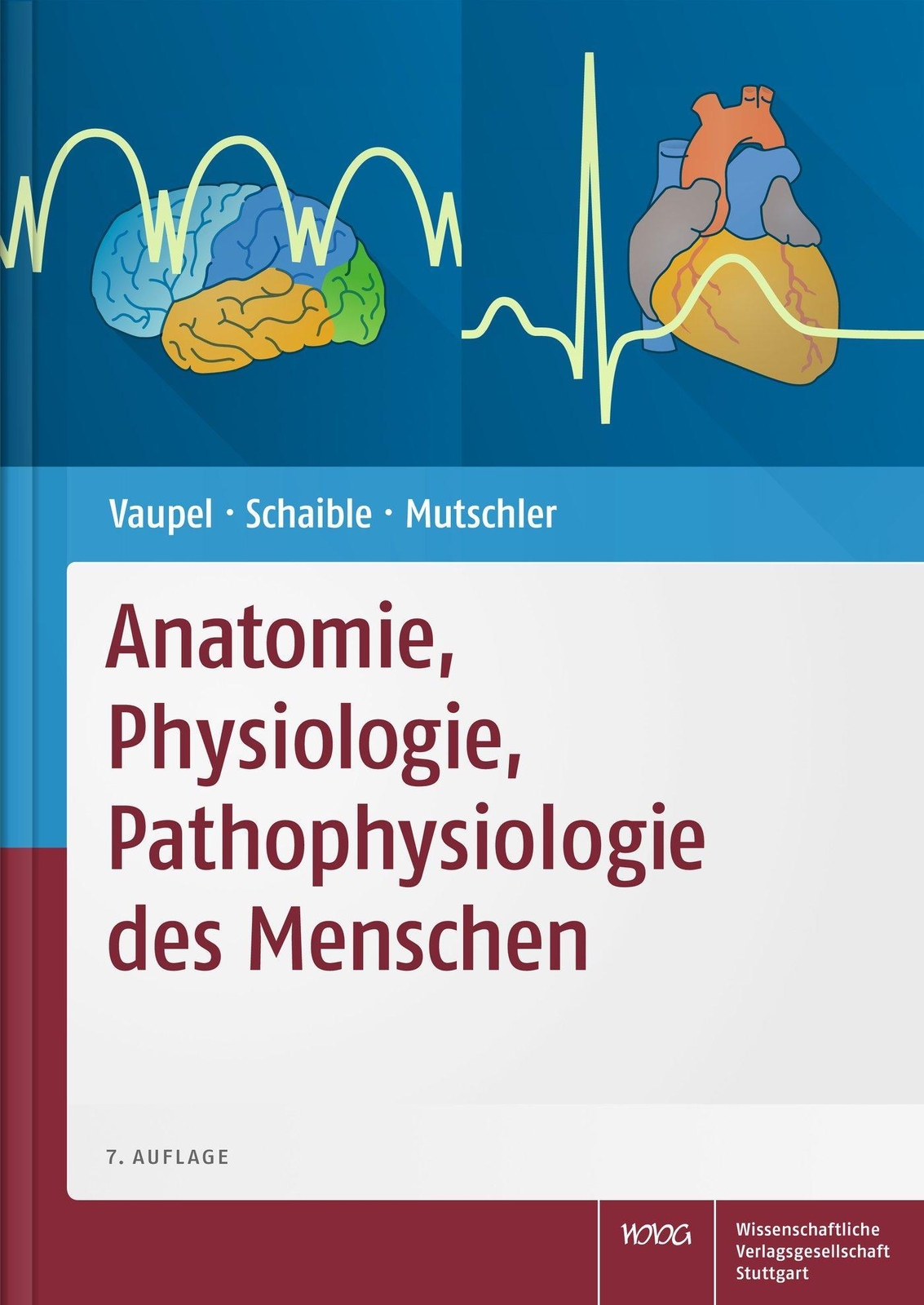 Thumbnail - Anatomie, Physiologie, Pathophysiologie Des Menschen Peter Vaupel
