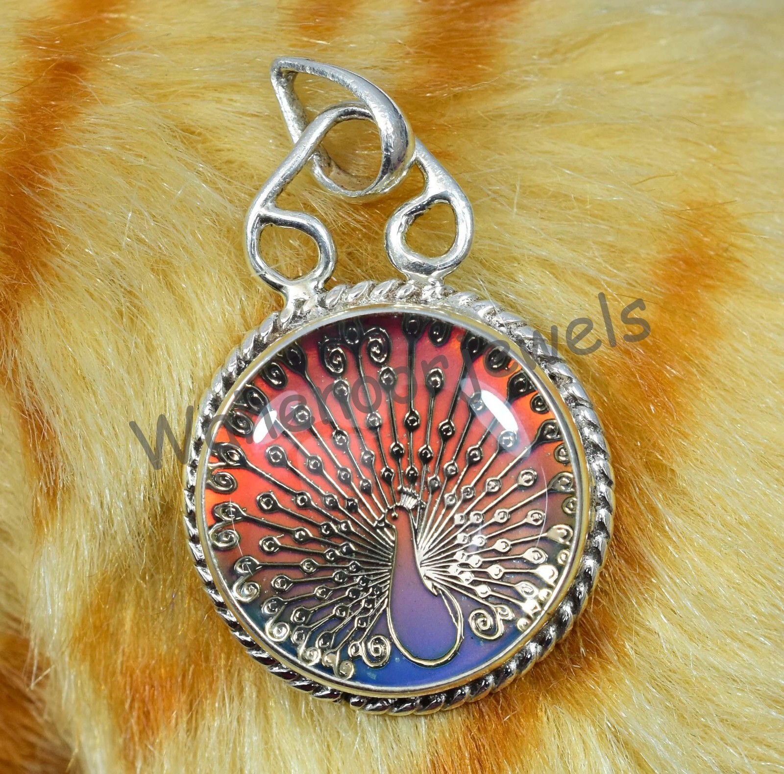 Picture 6 of 7