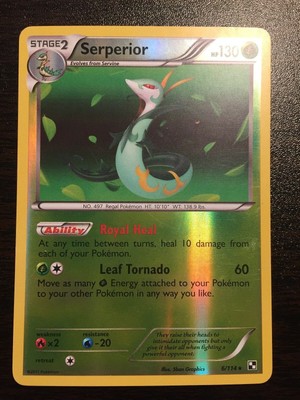 Reverse Holo Pokemon Black /& White M//NM 5//114 Holo Rare x1 Serperior