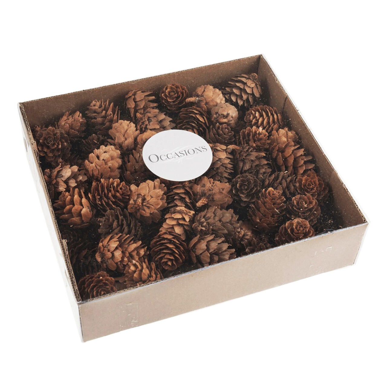 Box of 100 x Small Natural Pine Cones