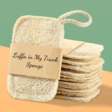 Natural Loofah Sponge with Hanger | Dishwashing | Exfoliating Bath Sponge