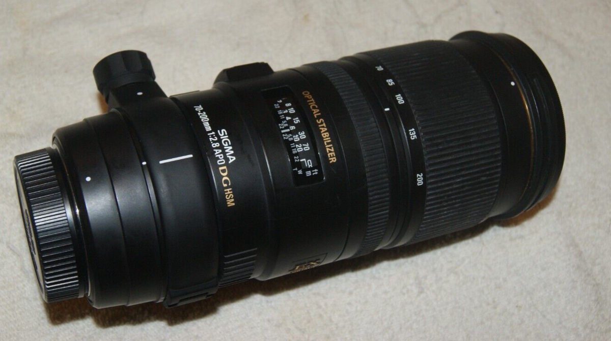 SIGMA Nikon用70-200mmD 1:2.8APO DG HSM Amazon.com : Sigma 70-200mmF/2.8 DG OS HSM for Nikon F : Electronics