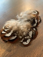20pcs 5-6cm Natural Brown Black White Reeves Pheasant Feathers DIY Art Craft