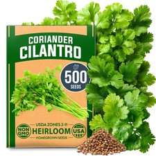 500 Cilantro Seeds For Planting Indoors Or Outdoors Heirloom Nongmo Coriander S