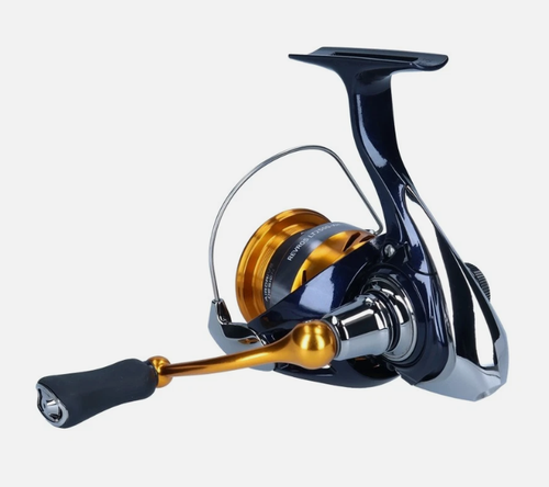 Mulinello da Pesca Spinning Daiwa 23 Revros LT Tutte le Taglie, Corso di Pesca Pike Bass - Foto 5 di 6