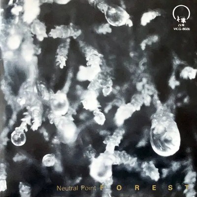 CD Forest Neutral Point ZEN
