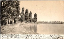 Oakland California CA : PANORAMIC SCENE d/24 BF1612