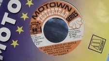 45Y MARVIN GAYE/TAMMI TERRELLAINT NOTHING LIKE THE REAL THING/WORLD AROUND YOU