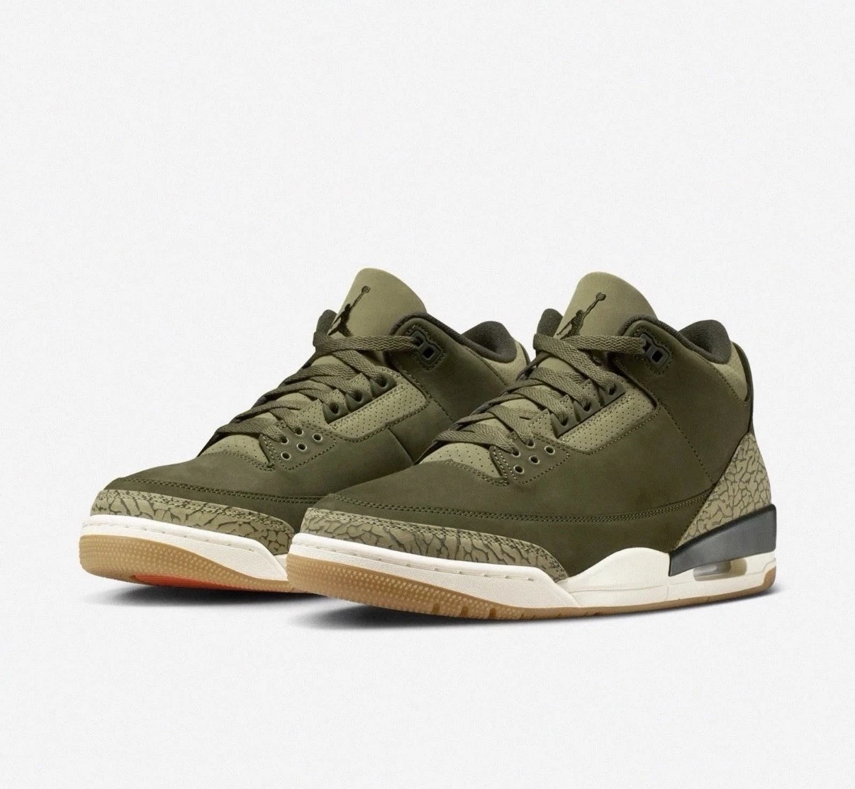 Nike Air Jordan 3 Retro Family Affair Olive Green Sneaker DN3707-202 Men Sz 10.5
