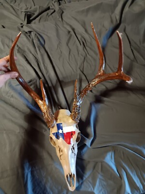 Custom Hand Painted Deer Skull ''Texas''- One Of A Kind