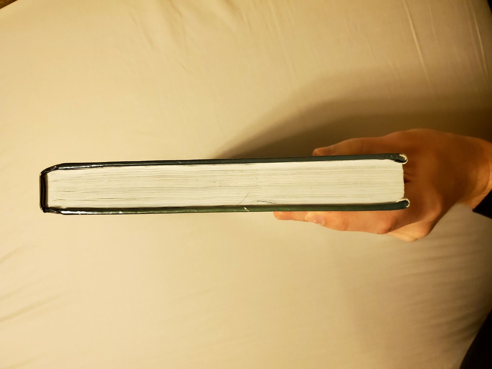 TCI History Alive Pursuing American Ideals 2013 eBay