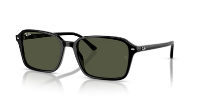 Ray-Ban Raimond Polished Black/G-15 Green 58 mm Sunglasses RB2231 901/31 58-18