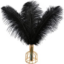 Black Ostrich Feathers 12pcs Large Natural Bulk 12-14Inch 30cm-35cm for Weddi...