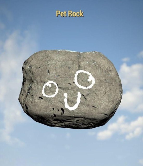 Pet Rock (XBOX)