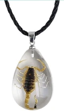 Clear Scorpion Necklace Pendant - Gold🦂