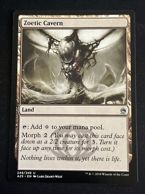 1x Zoetic Cavern (249) Masters 25 LP MTG Magic the Gathering x1 MKE