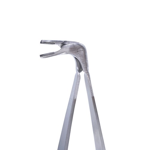 Anillo de banda de matriz dental abrazadera de matriz seccional ajuste Garr Palodent sistema V3 ison - Imagen 26 de 42