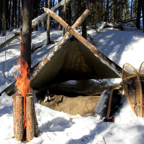 AquaQuest Defender Camping Tarp - Schwerlastzelt 10 x 10 ft, Woodland Camo - Bild 7 von 7