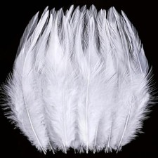 200pcs Craft Feathers - 5-7inch Rooster Feathers for Crafting, DIY White