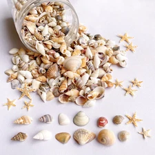 1200 PCS Tiny Sea Shells &10 Small Starfish - Mixed Ocean Beach Spiral Seashells