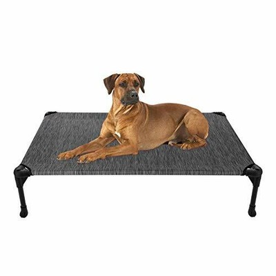 dog bed cot type